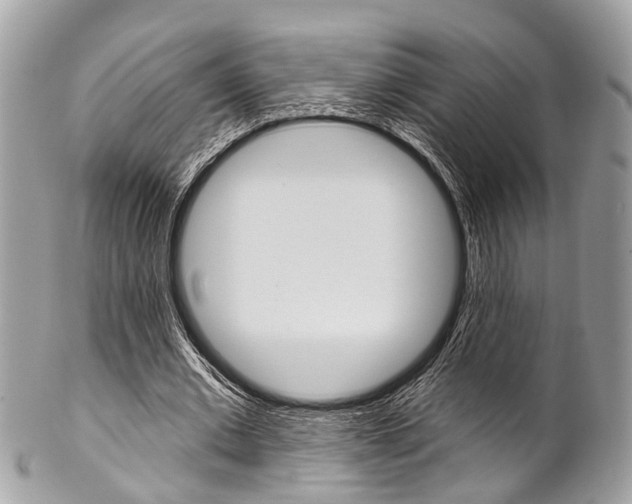 X0000102850677200808181048