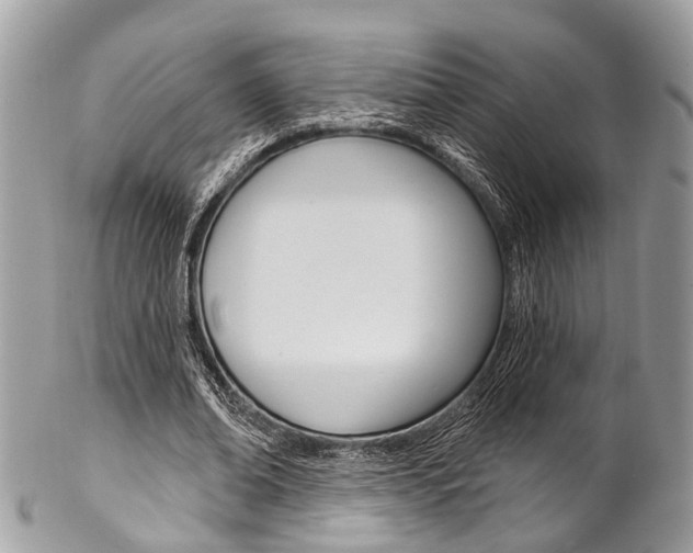 X0000102850678200808181048