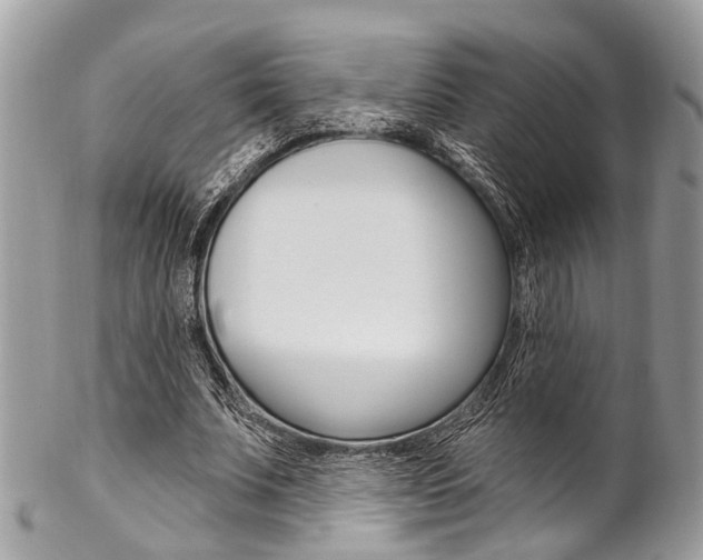 X0000102850679200808181047