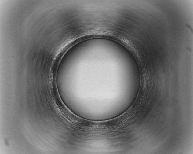 X0000102850680200808181047