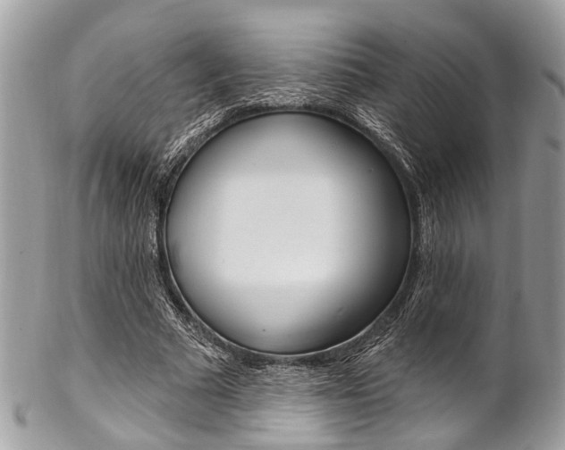 X0000102850681200808181047