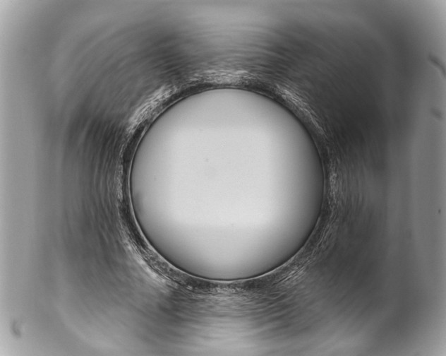 X0000102850682200808181047