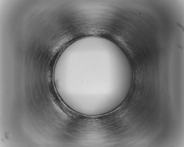 X0000102850683200808181047