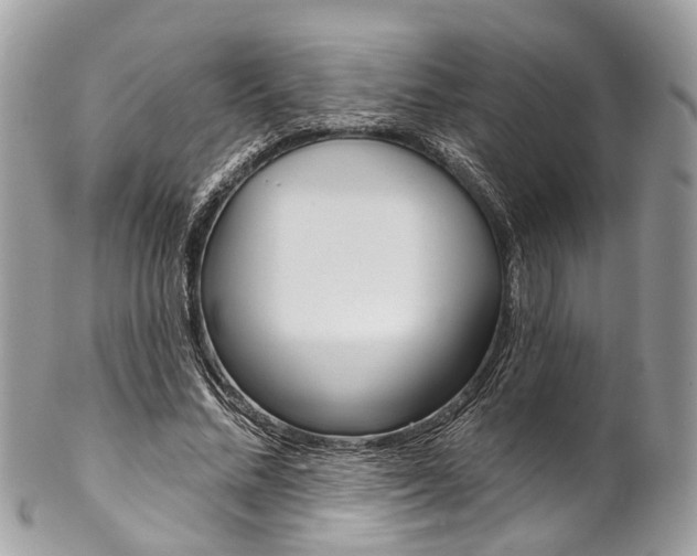 X0000102850684200808181047