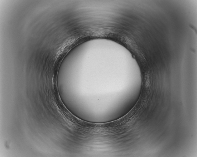 X0000102850685200808181047