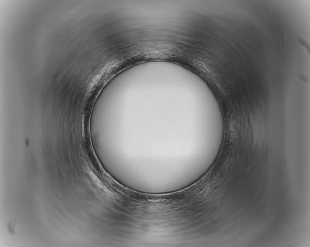 X0000102850686200808181047