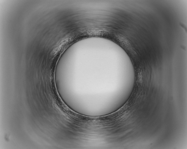 X0000102850687200808181047