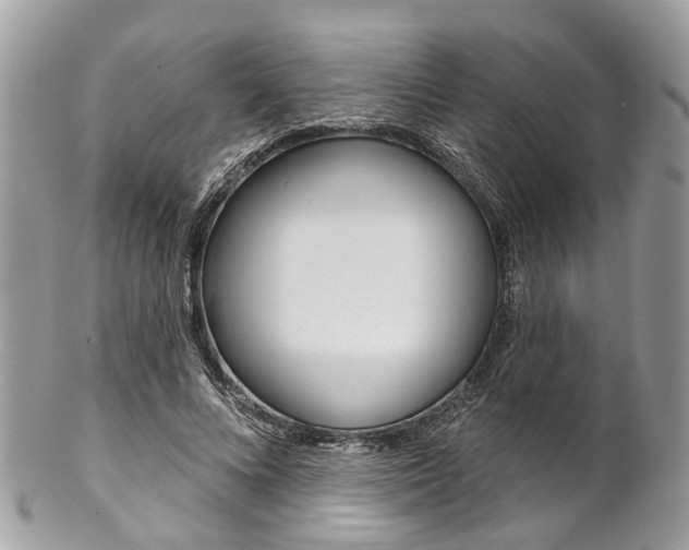 X0000102850688200808181047