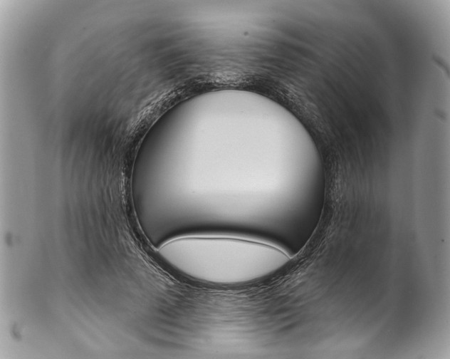 X0000102850689200808181047
