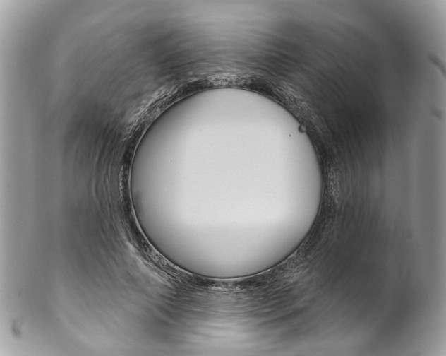 X0000102850690200808181047
