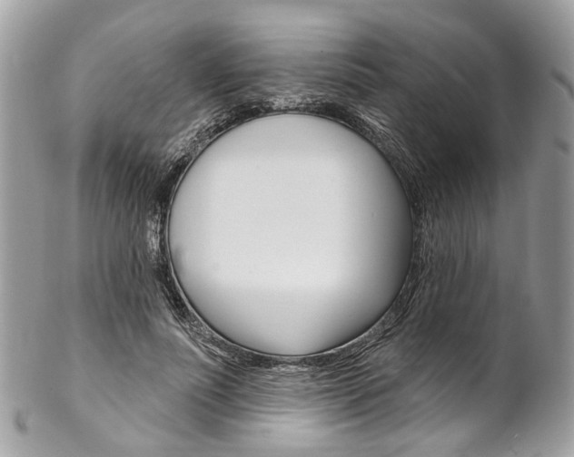 X0000102850691200808181047