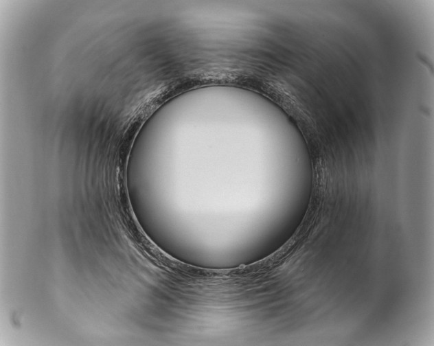 X0000102850692200808181047