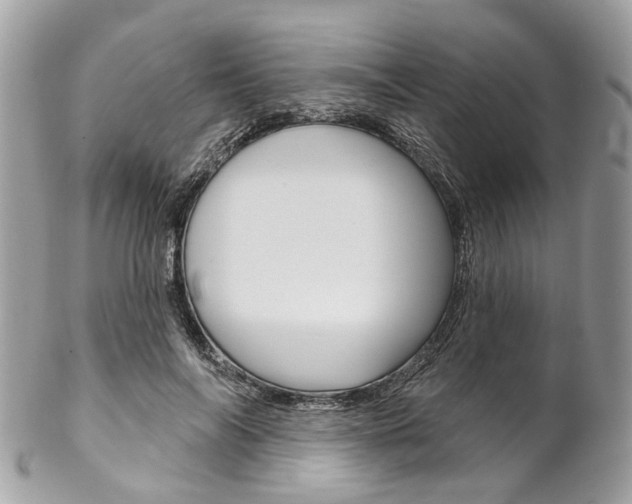 X0000102850694200808181047