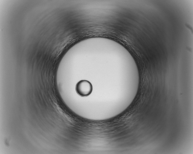 X0000102850695200808181047