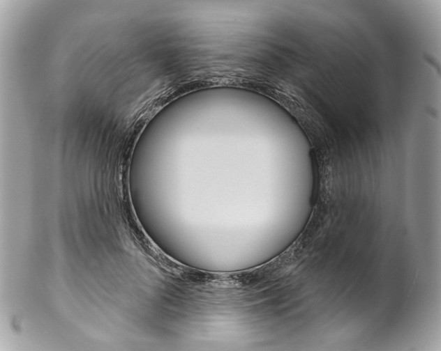 X0000102850696200808181047