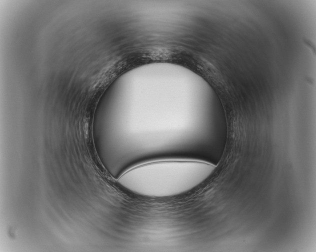 X0000102850697200808181047
