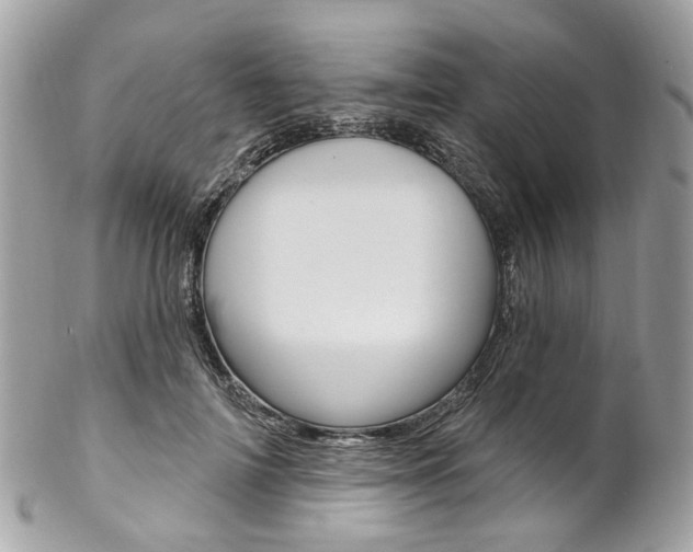 X0000102850698200808181047