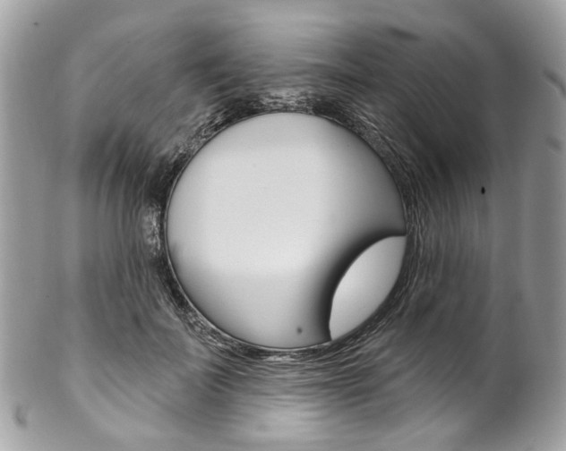 X0000102850699200808181047