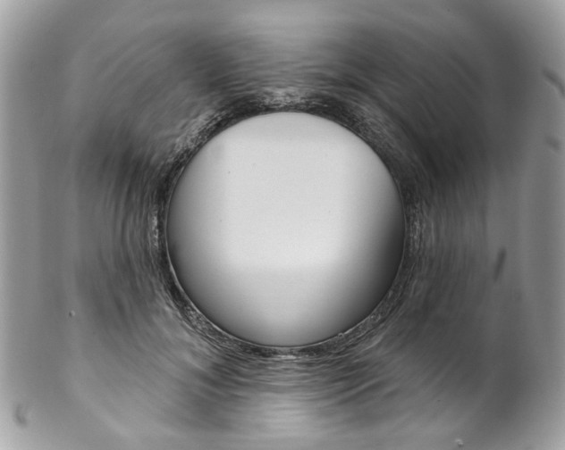 X0000102850700200808181047