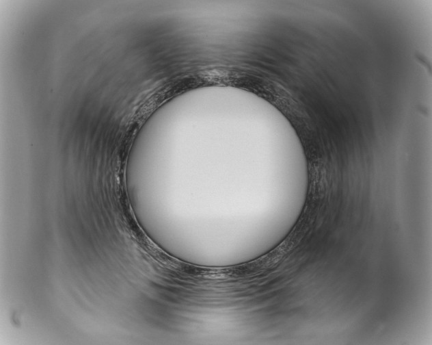X0000102850702200808181047