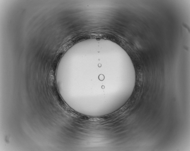 X0000102850707200808181047