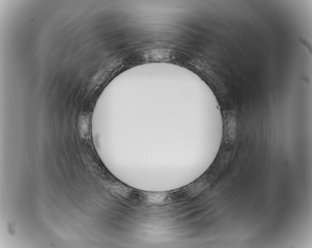 X0000102850709200808181047