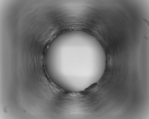 X0000102850712200808181047