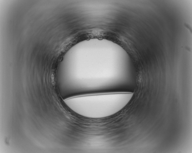 X0000102850715200808181047