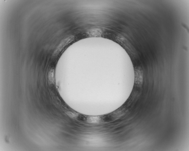 X0000102850717200808181047