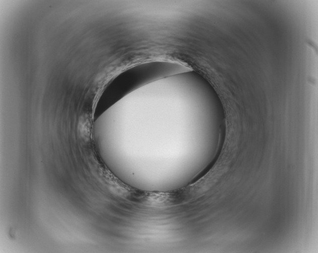 X0000102850720200808181047