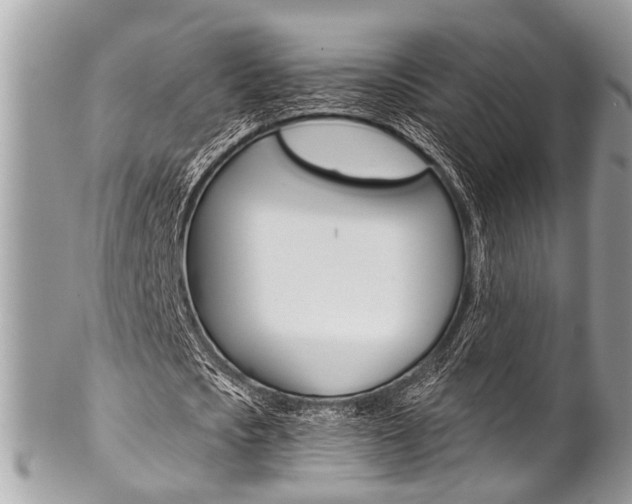 X0000102850721200808181046
