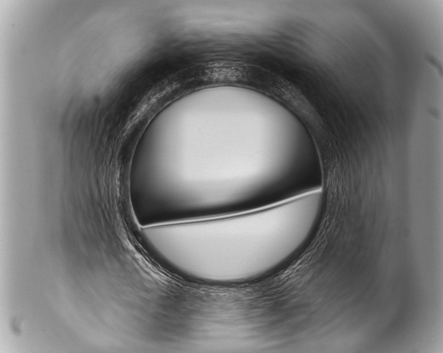 X0000102850722200808181046