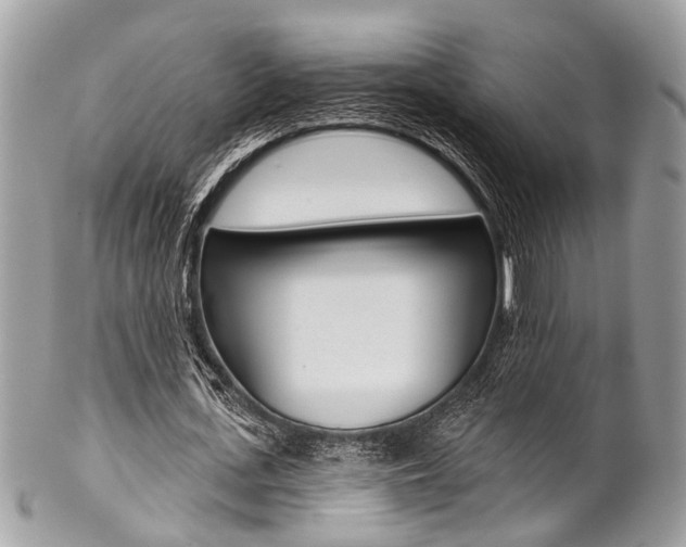 X0000102850723200808181046