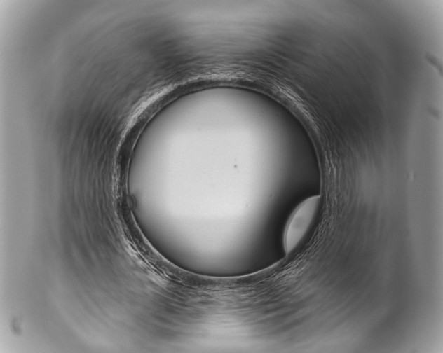 X0000102850724200808181046