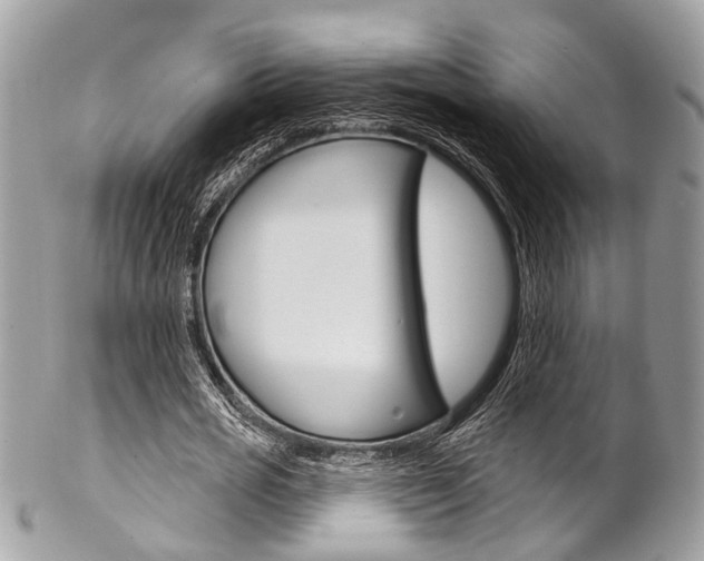 X0000102850725200808181046