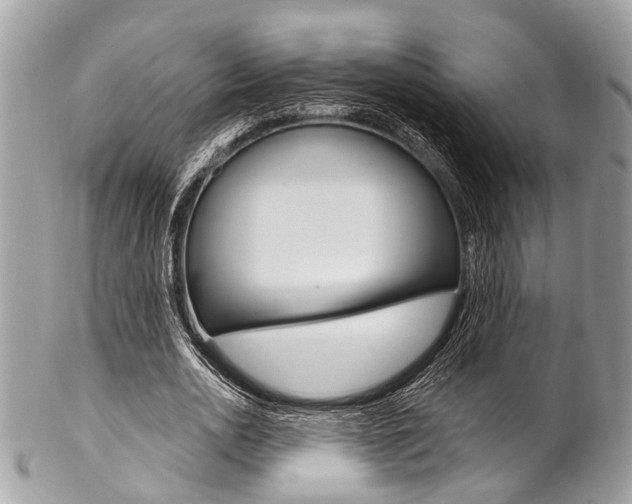 X0000102850726200808181046
