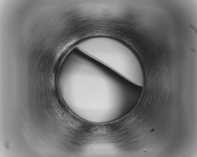 X0000102850727200808181046