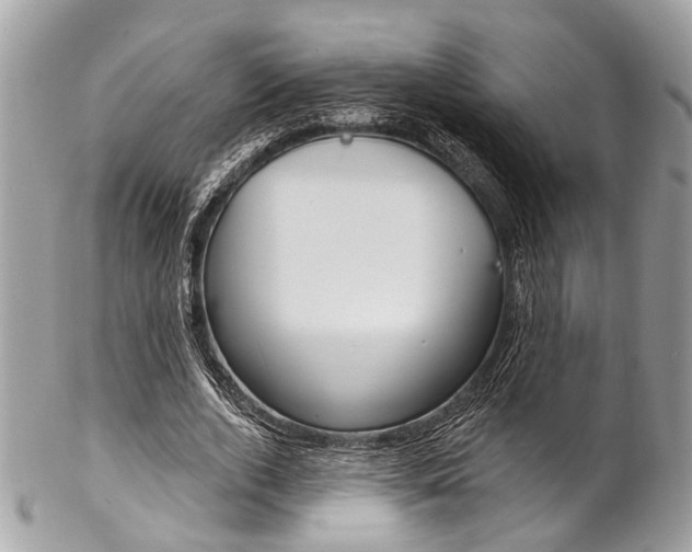 X0000102850728200808181046