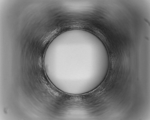 X0000102850729200808181046