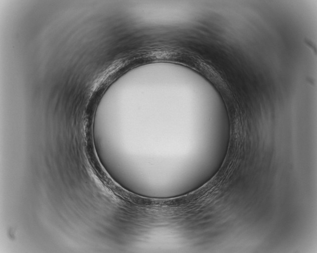 X0000102850730200808181046