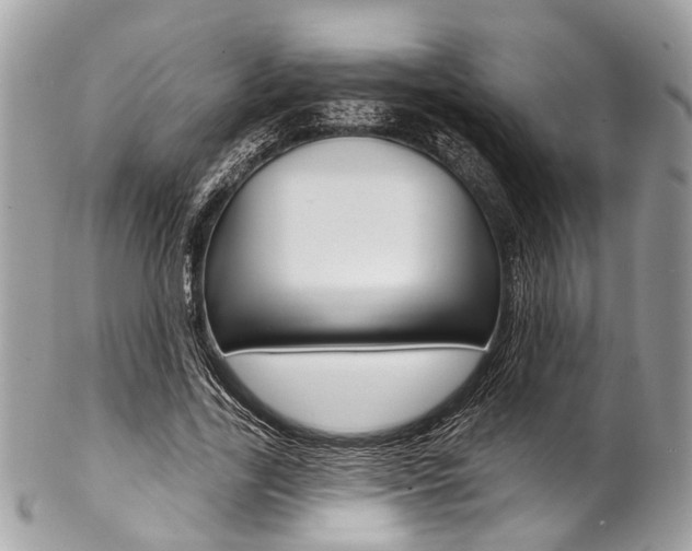 X0000102850731200808181046