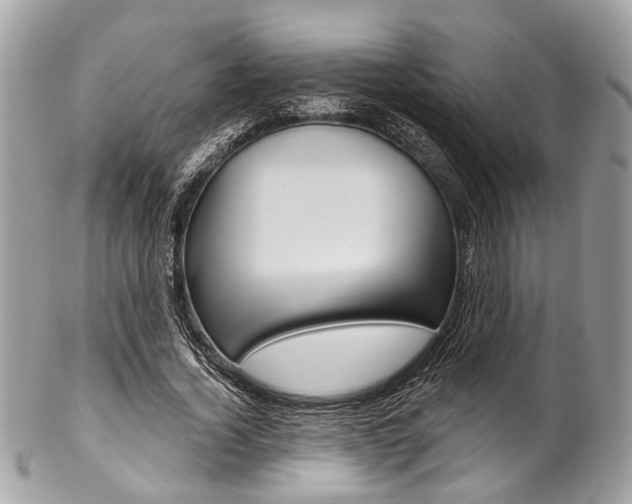 X0000102850732200808181046