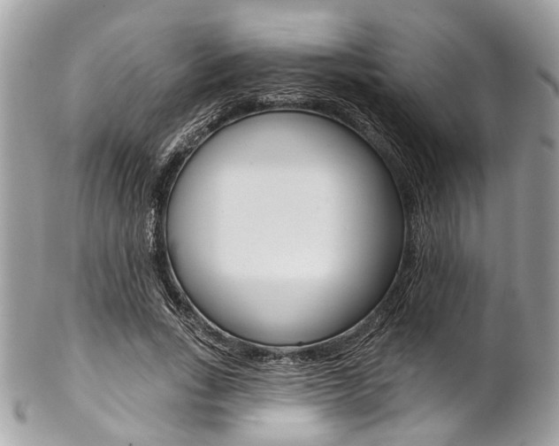 X0000102850735200808181046