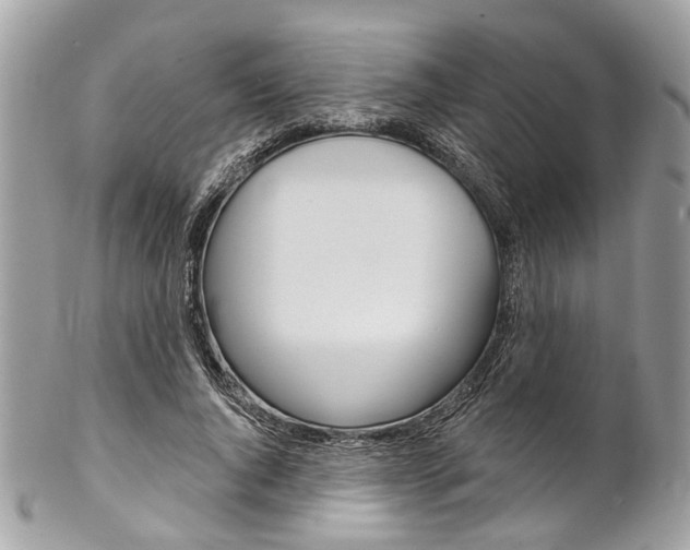 X0000102850736200808181046