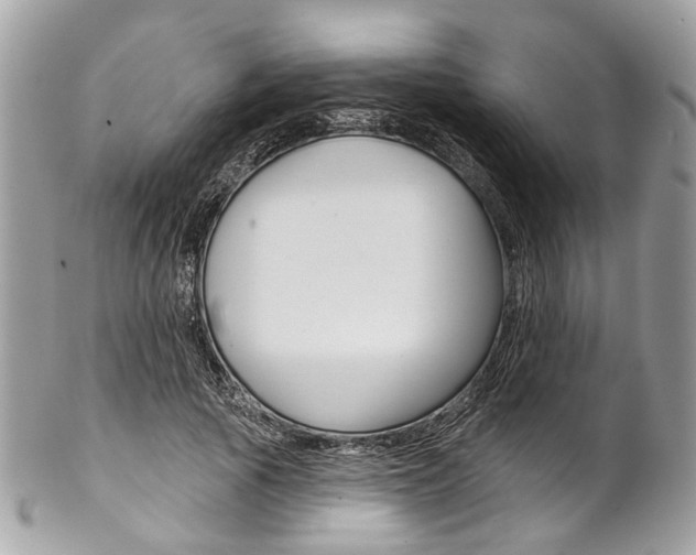 X0000102850737200808181046