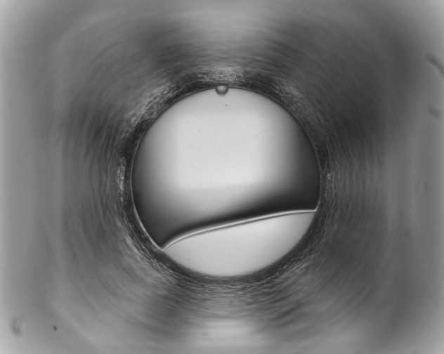 X0000102850739200808181046