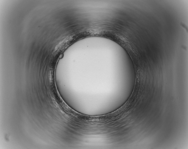 X0000102850740200808181047