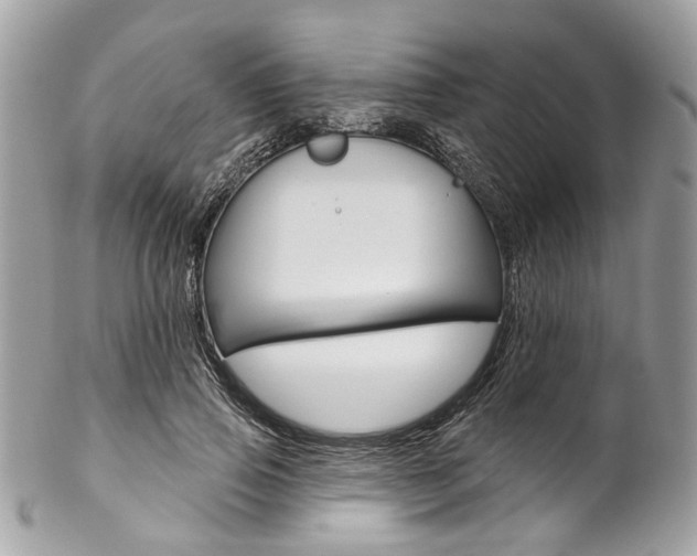 X0000102850741200808181047