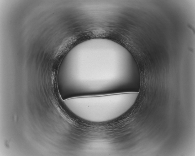 X0000102850742200808181047
