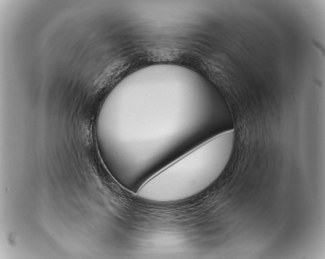 X0000102850743200808181047